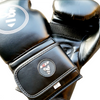 BXER Eclipse Boxing Gloves