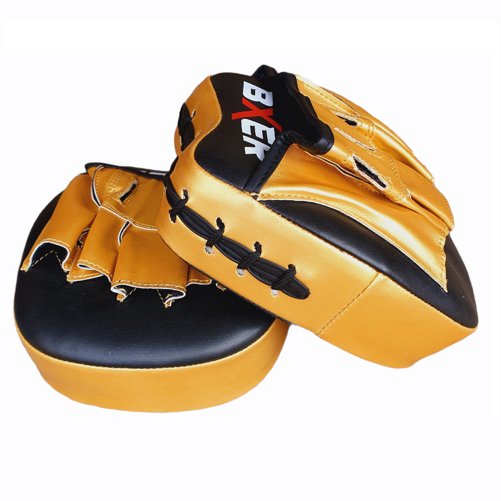 BXER Stinger Focus Mitts
