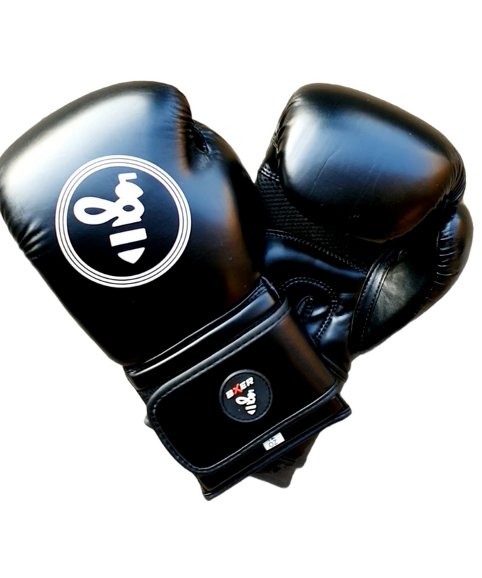 BXER Eclipse Boxing Gloves
